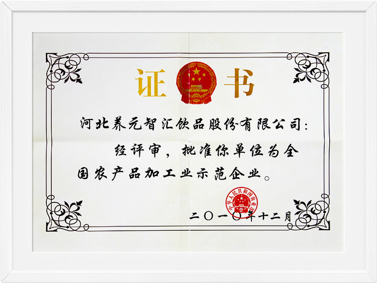 逐梦国际-专一品牌营销影视制作文化公司