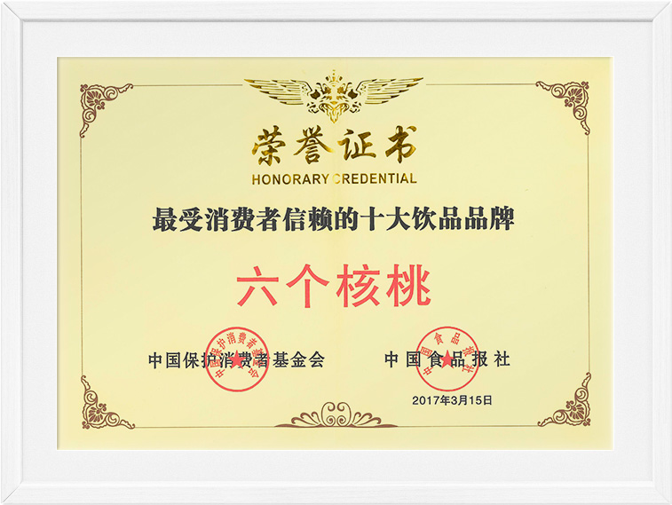 逐梦国际-专一品牌营销影视制作文化公司