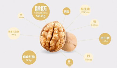 逐梦国际-专一品牌营销影视制作文化公司