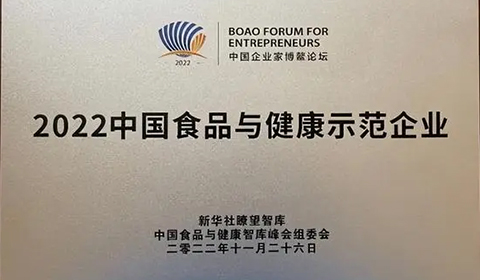 逐梦国际-专一品牌营销影视制作文化公司