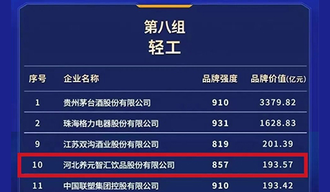 逐梦国际-专一品牌营销影视制作文化公司