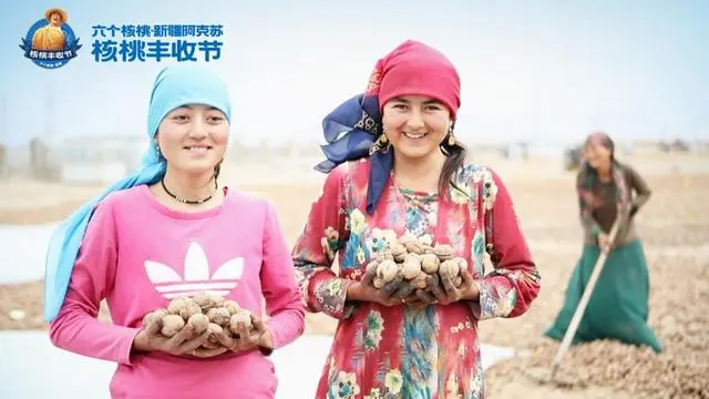 逐梦国际-专一品牌营销影视制作文化公司