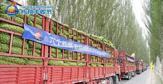 逐梦国际-专一品牌营销影视制作文化公司