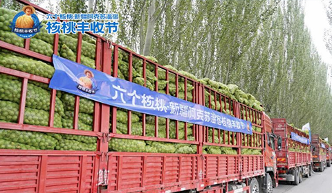 逐梦国际-专一品牌营销影视制作文化公司