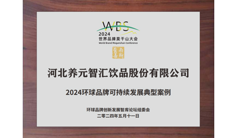逐梦国际-专一品牌营销影视制作文化公司