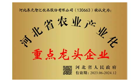 逐梦国际-专一品牌营销影视制作文化公司