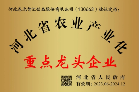 逐梦国际-专一品牌营销影视制作文化公司