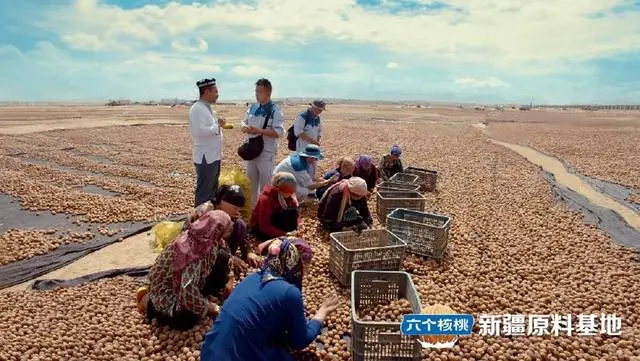 逐梦国际-专一品牌营销影视制作文化公司