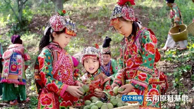 逐梦国际-专一品牌营销影视制作文化公司